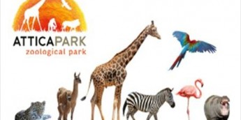 Σχολή Χατζήβεη - Το Αττικό Ζωολογικό Πάρκο γιορτάζει την Ημέρα των Ζώων - 3/10/2014