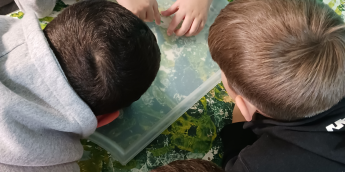 Σχολή Χατζήβεη - Στο Μουσείο Πειραμάτων - 5/2/2026