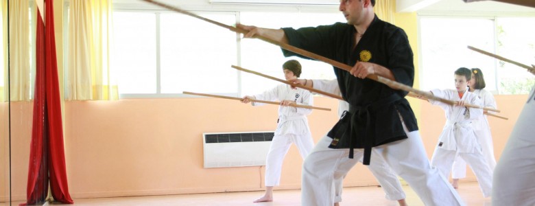 Σχολή Χατζήβεη - Δημοτικό -Πρόγραμμα Απογευματινών Δραστηριοτήτων - Suibukan Karate