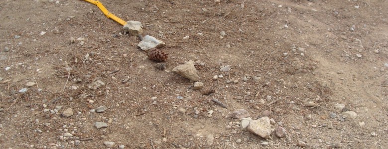 Σχολή Χατζήβεη - Μετρήσεις...στο Άλσος - 13/6/2018