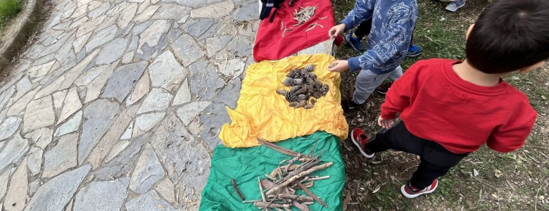 Σχολή Χατζήβεη - Παρατήρηση και Κατηγοριοποίηση στο Άλσος - 15/12/2025 Σχολή Χατζήβεη - Παρατήρηση και Κατηγοριοποίηση στο Άλσος - 15/12/2025