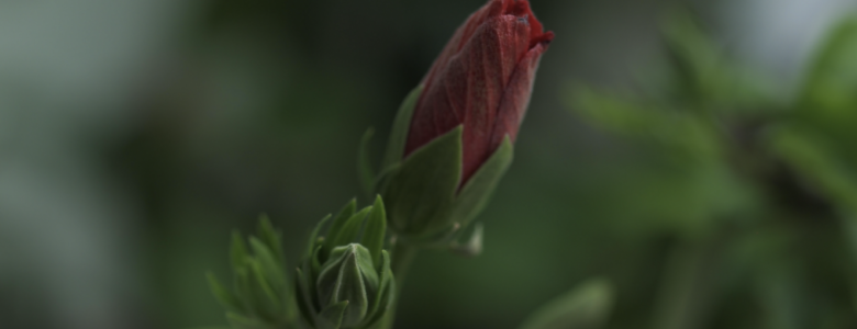 Σχολή Χατζήβεη - Όμιλος Φωτογραφίας - 16/2/2026 Σχολή Χατζήβεη - Όμιλος Φωτογραφίας - 16/2/2026