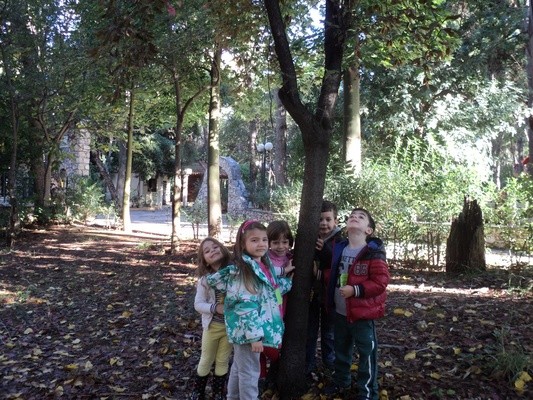 Σχολή Χατζήβεη - Δεντροεξερευνητές Προνηπίου - 7/1/2016 Σχολή Χατζήβεη - Δεντροεξερευνητές Προνηπίου - 7/1/2016