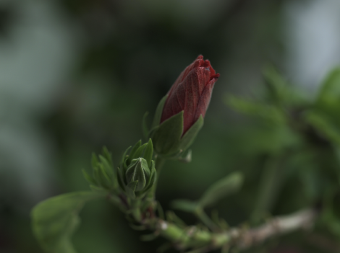 Σχολή Χατζήβεη - Όμιλος Φωτογραφίας - 16/2/2026