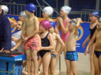 Επιδείξεις Κολύμβησης Επιδείξεις Κολύμβησης