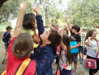 Επίσκεψη της Γ’ τάξης στο Πάρκο Τρίτση Επίσκεψη της Γ’ τάξης στο Πάρκο Τρίτση