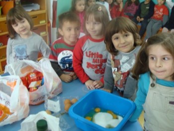 Γνωριμία με την ελιά Γνωριμία με την ελιά