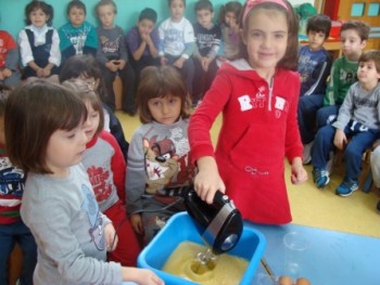 Γνωριμία με την ελιά