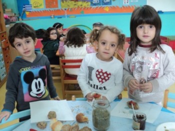 Γνωριμία με την Ελιά Γνωριμία με την Ελιά