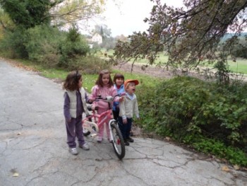 Ποδηλατική Βόλτα Ποδηλατική Βόλτα