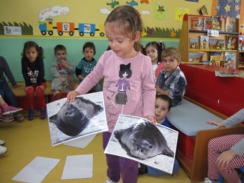 Δράσεις Από το Προνήπιο! Δράσεις Από το Προνήπιο!