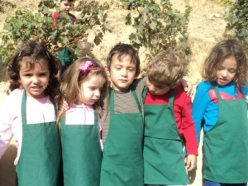Από Το Αμπέλι Στο Κρασί Από Το Αμπέλι Στο Κρασί