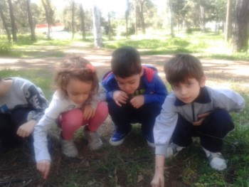 Φυτεύουμε όσπρια στο άλσος Φυτεύουμε όσπρια στο άλσος
