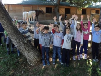 Το Μαξιλάρι των Ονείρων! Το Μαξιλάρι των Ονείρων!
