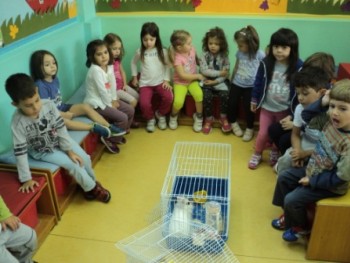 Παγκόσμια Ημέρα των Ζώων Παγκόσμια Ημέρα των Ζώων