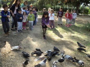 Παγκόσμια Ημέρα των Ζώων Παγκόσμια Ημέρα των Ζώων