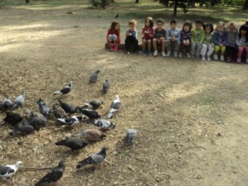 Παγκόσμια Ημέρα των Ζώων Παγκόσμια Ημέρα των Ζώων
