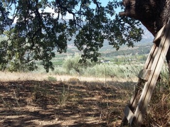 Υπαίθρια Εκπαίδευση: Ο κόσμος ως ζωντανή και δημιουργική τάξη Υπαίθρια Εκπαίδευση: Ο κόσμος ως ζωντανή και δημιουργική τάξη