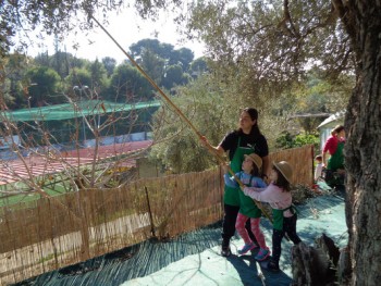 Με το Χάραμα Γοργοί ξεκινούν οι Γεωργοί… Με το Χάραμα Γοργοί ξεκινούν οι Γεωργοί…
