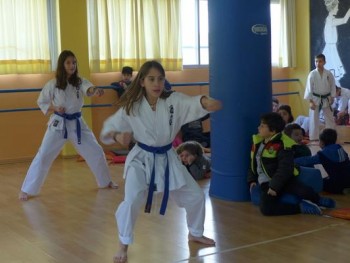 Εξετάσεις Καράτε Εξετάσεις Καράτε