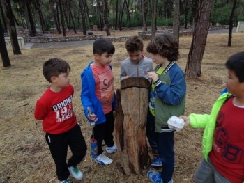 Γιορτάσαμε τη μέρα Υπαίθριας Εκπαίδευσης Γιορτάσαμε τη μέρα Υπαίθριας Εκπαίδευσης