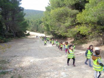Σχολή Χατζήβεη - Εξόρμηση Υπαίθριας Εκπαίδευσης - 19/11/2018