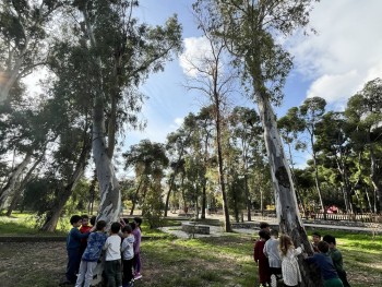Σχολή Χατζήβεη - Παρατήρηση και Κατηγοριοποίηση στο Άλσος - 15/12/2025 Σχολή Χατζήβεη - Παρατήρηση και Κατηγοριοποίηση στο Άλσος - 15/12/2025