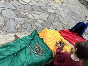 Σχολή Χατζήβεη - Παρατήρηση και Κατηγοριοποίηση στο Άλσος - 15/12/2025 Σχολή Χατζήβεη - Παρατήρηση και Κατηγοριοποίηση στο Άλσος - 15/12/2025