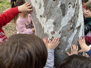 Σχολή Χατζήβεη - Παρατήρηση και Κατηγοριοποίηση στο Άλσος - 15/12/2025 Σχολή Χατζήβεη - Παρατήρηση και Κατηγοριοποίηση στο Άλσος - 15/12/2025