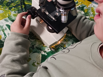 Σχολή Χατζήβεη - Στο Μουσείο Πειραμάτων - 5/2/2026