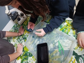 Σχολή Χατζήβεη - Στο Μουσείο Πειραμάτων - 5/2/2026