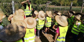 Σχολή Χατζήβεη - Από το Αμπέλι στο Κρασί - 25/9/2019