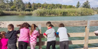 Σχολή Χατζήβεη - Επίσκεψη στο Πάρκο Τρίτση - 10/11/2024