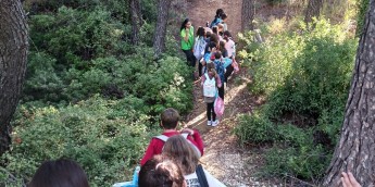 Σχολή Χατζήβεη - Κυνήγι Θησαυρού στο Δάσος - 21/10/2025