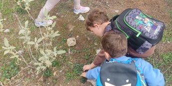 Σχολή Χατζήβεη - Μια Μέρα στο Άλσος - 3/11/2025 Σχολή Χατζήβεη - Μια Μέρα στο Άλσος - 3/11/2025