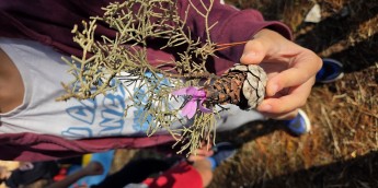 Σχολή Χατζήβεη - Στη Φύση με το Μουσείο Πειραμάτων - 3/11/2025 Σχολή Χατζήβεη - Στη Φύση με το Μουσείο Πειραμάτων - 3/11/2025