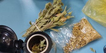 Σχολή Χατζήβεη - Στο Φαρμακείο της Φύσης - 24/11/2025