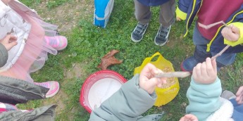 Σχολή Χατζήβεη - Δεντρολιχουδιές για τα Ζώα του Άλσους - 10/12/2025 Σχολή Χατζήβεη - Δεντρολιχουδιές για τα Ζώα του Άλσους - 10/12/2025