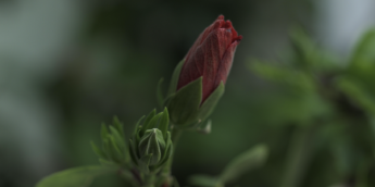 Σχολή Χατζήβεη - Όμιλος Φωτογραφίας - 16/2/2026