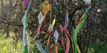 Σχολή Χατζήβεη - Απόκριες στο Σχολείο της Φύσης - 19/2/2026