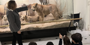 Σχολή Χατζήβεη - Μια Μέρα στο Μουσείο Φυσικής Ιστορίας - 30/4/2026