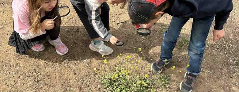 Σχολή Χατζήβεη - Στο Αισθητικό Δάσος του Υμηττού - 27/4/2023