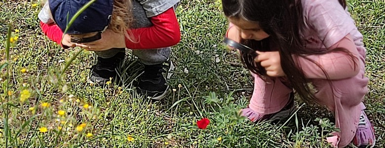 Σχολή Χατζήβεη - Μαθαίνω τα Δάση και τα Άλση της Αττικής - 29/6/2023