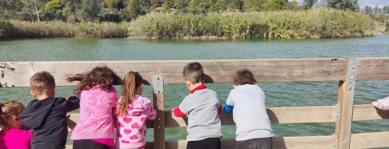 Σχολή Χατζήβεη - Επίσκεψη στο Πάρκο Τρίτση - 10/11/2024 Σχολή Χατζήβεη - Επίσκεψη στο Πάρκο Τρίτση - 10/11/2024