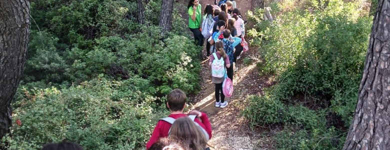 Σχολή Χατζήβεη - Κυνήγι Θησαυρού στο Δάσος - 21/10/2025 Σχολή Χατζήβεη - Κυνήγι Θησαυρού στο Δάσος - 21/10/2025