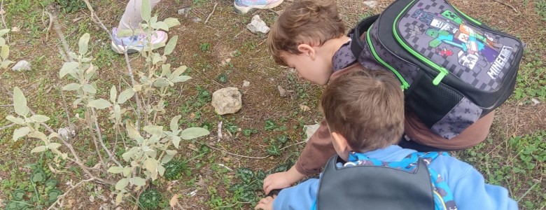 Σχολή Χατζήβεη - Μια Μέρα στο Άλσος - 3/11/2025 Σχολή Χατζήβεη - Μια Μέρα στο Άλσος - 3/11/2025