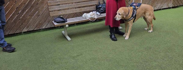 Σχολή Χατζήβεη - Γνωρίζοντας έναν Σκύλο-Οδηγό - 11/11/2025 Σχολή Χατζήβεη - Γνωρίζοντας έναν Σκύλο-Οδηγό - 11/11/2025