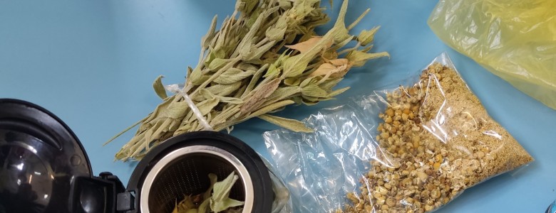 Σχολή Χατζήβεη - Στο Φαρμακείο της Φύσης - 24/11/2025