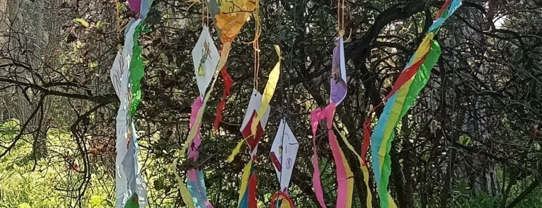 Σχολή Χατζήβεη - Απόκριες στο Σχολείο της Φύσης - 19/2/2026 Σχολή Χατζήβεη - Απόκριες στο Σχολείο της Φύσης - 19/2/2026