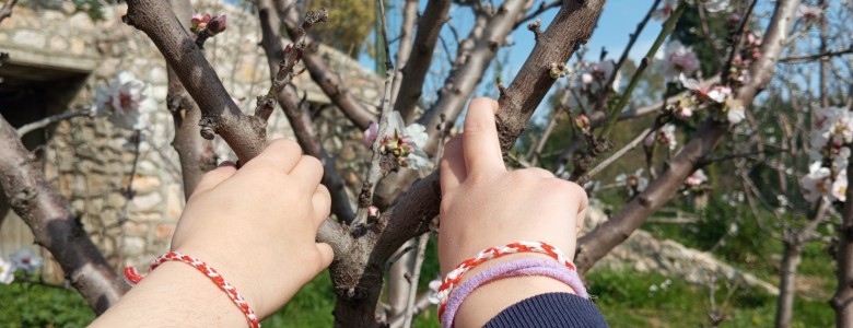 Σχολή Χατζήβεη - Μάρτης στο Σχολείο της Φύσης - 6/3/2026